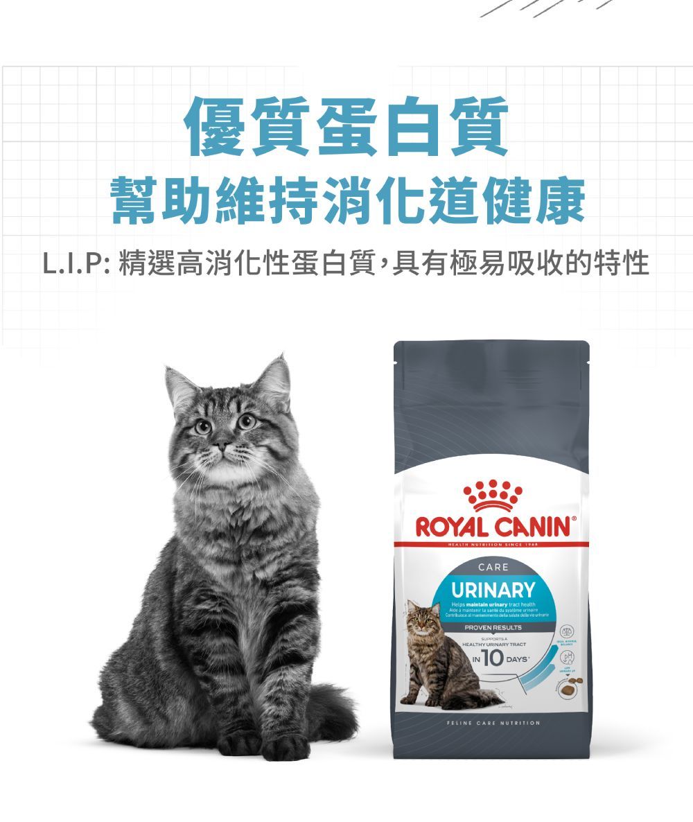 優質蛋白質幫助維持消化道健康LI.P: 精選高消化性蛋白質,具有極易吸收的特性ROYAL CANIN NUTRITION  CAREURINARYHelps maintain u urinary tract       PROVEN RESULTSHEALTHY URINARY TRACT10 DAYS.FELINE CARE NUTRITION