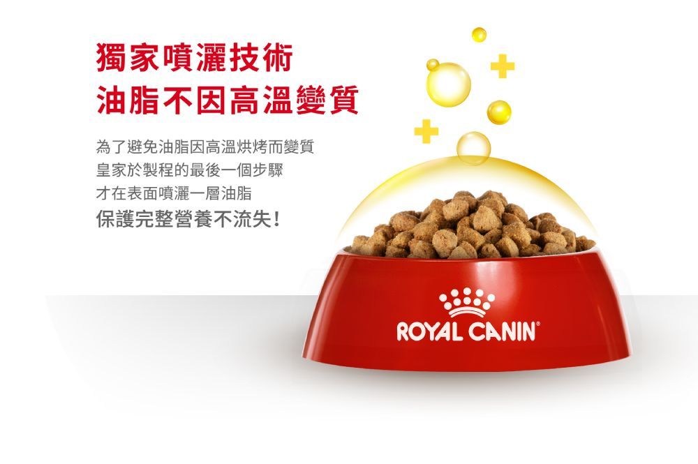 獨家噴灑技術油脂不因高溫變質為了避免油脂因高溫烘烤而變質皇家於製程的最後一個步驟才在表面噴灑一層油脂保護完整營養不流失!ROYAL CANIN