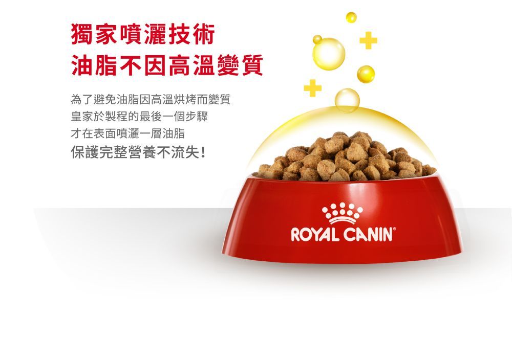 獨家噴灑技術油脂不因高溫變質為了避免油脂因高溫烘烤而變質皇家於製程的最後一個步驟才在表面噴灑一層油脂保護完整營養不流失!ROYAL CANIN