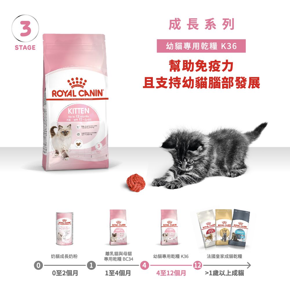 3STA   GE 成長系列幼貓專用乾糧 K36幫助免疫力且支持幼貓腦部發展KITTEN  12 12  IN  CAN ROYAL  ROYAL CANIN離乳貓與母貓奶貓成長奶粉幼貓專用乾糧 K36法國皇家成貓乾糧專用乾糧 BC3440至2個月1至4個月4至12個月1歲以上成貓