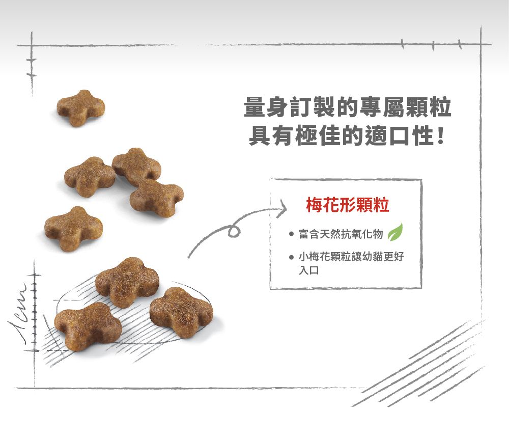 量身訂製的專屬顆粒具有極佳的適口性!梅花形顆粒 富含天然抗氧化物小梅花顆粒讓幼貓更好入口
