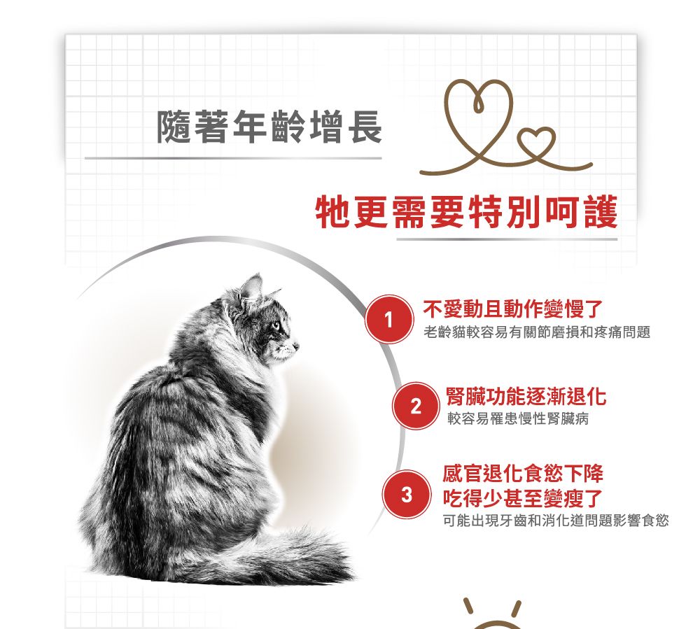 隨著年齡增長牠更需要特別呵護1不愛動且動作變慢了老齡貓較容易有關節磨損和疼痛問題腎臟功能逐漸退化2較容易罹患慢性腎臟病感官退化食慾下降3吃得少甚至變瘦了可能出現牙齒和消化道問題影響食慾
