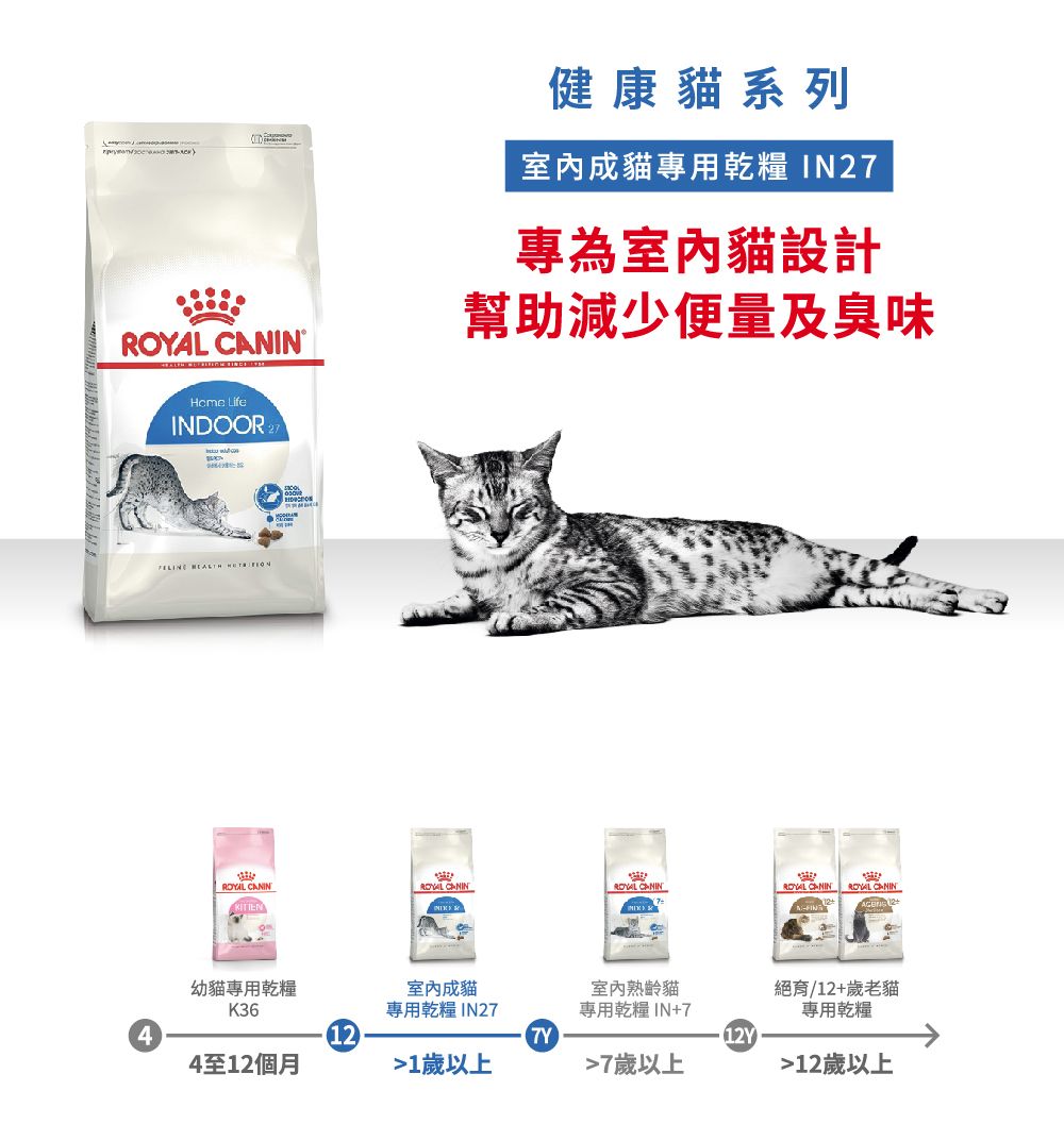健康貓系列室內成貓專用乾糧 IN27專為室內貓設計幫助減少便量及臭味 4 LifeINDOO   CANIN CANIN CANINROYAL CANIN ROYAL CANINITTEN K R幼貓專用乾糧K364至12個月室內成貓專用乾糧 IN27室內熟齡貓專用乾糧IN+7絕育/12+歲老貓專用乾糧1212Y1歲以上7歲以上12歲以上