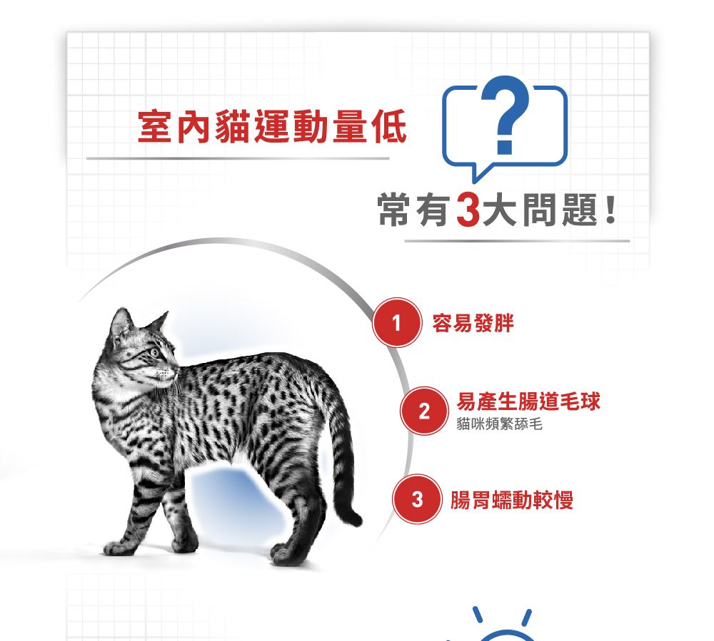 室內貓運動量低常有大問題!容易發胖2易產生腸道毛球貓咪頻繁舔毛3 腸胃蠕動較慢