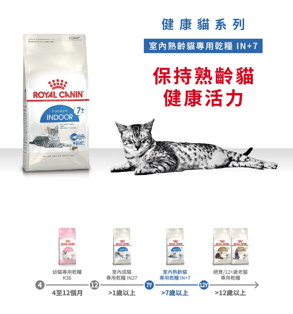CANHome  INDOO4  健康貓系列室內熟齡貓專用乾糧IN+7保持熟齡貓健康活力 CANIN CANIN CANINROYAL CANIN ROYAL CANINITTEN K R幼貓專用乾糧K364至12個月室內成貓室內熟齡貓絕育/12+歲老貓專用乾糧IN27專用乾糧IN+7專用乾糧1212Y1歲以上7歲以上12歲以上