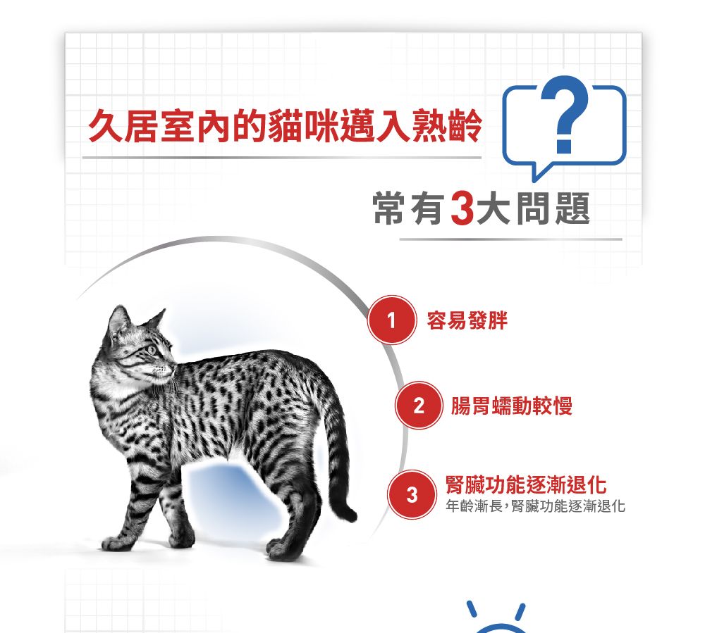 久居室內的貓咪邁入熟齡常有3大問題容易發胖 腸胃蠕動較慢3腎臟功能逐漸退化年齡漸長,腎臟功能逐漸退化