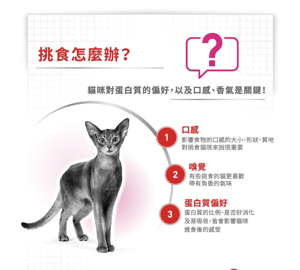 挑食怎麼辦?貓咪對蛋白質的偏好,以及口感、香氣是關鍵!口感1影響食物的口感的大小、形狀、質地對挑食貓咪來說很重要嗅覺2有些挑食的貓更喜歡帶有魚香的氣味3蛋白質偏好蛋白質的比例、是否好消化及易吸收,皆會影響貓咪進食後的感受