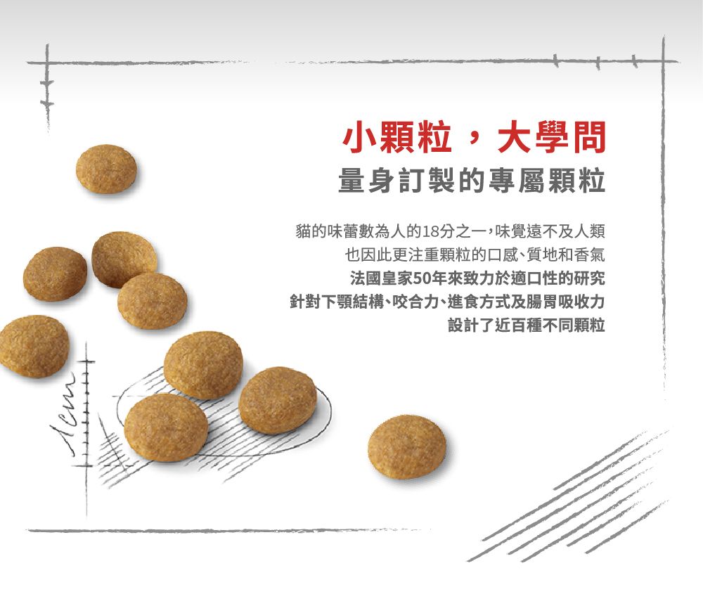 小顆粒,大學問量身訂製的專屬顆粒貓的味蕾數為人的18分之一,味覺遠不及人類也因此更注重顆粒的口感、質地和香氣法國皇家50年來致力於適口性的研究針對下顎結構、咬合力、進食方式及腸胃吸收力設計了近百種不同顆粒