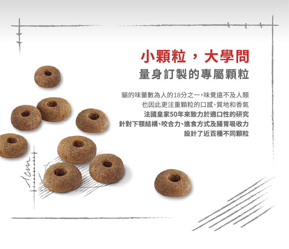 小顆粒,大學問量身訂製的專屬顆粒貓的味蕾數為人的18分之一,味覺遠不及人類也因此更注重顆粒的口感、質地和香氣法國皇家50年來致力於適口性的研究針對下顎結構、咬合力、進食方式及腸胃吸收力設計了近百種不同顆粒
