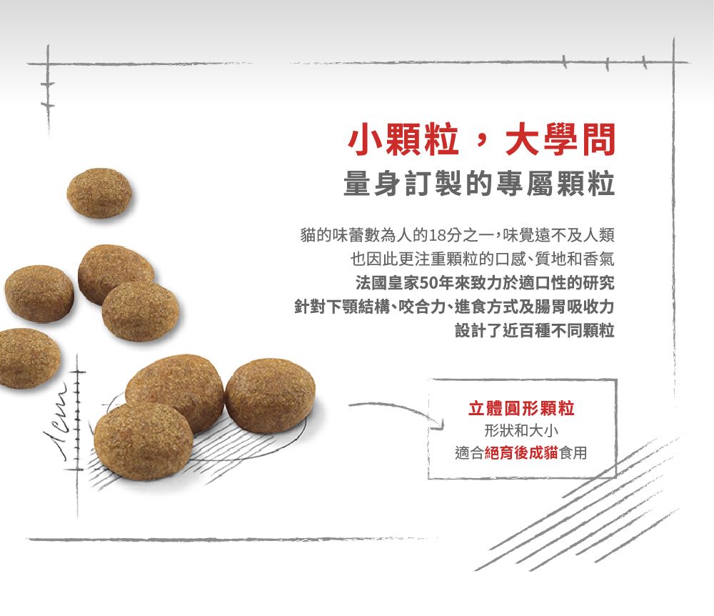 小顆粒,大學問量身訂製的專屬顆粒貓的味蕾數為人的18分之一,味覺遠不及人類也因此更注重顆粒的口感、質地和香氣法國皇家50年來致力於適口性的研究針對下顎結構、咬合力、進食方式及腸胃吸收力設計了近百種不同顆粒立體圓形顆粒形狀和大小適合絕育後成貓食用