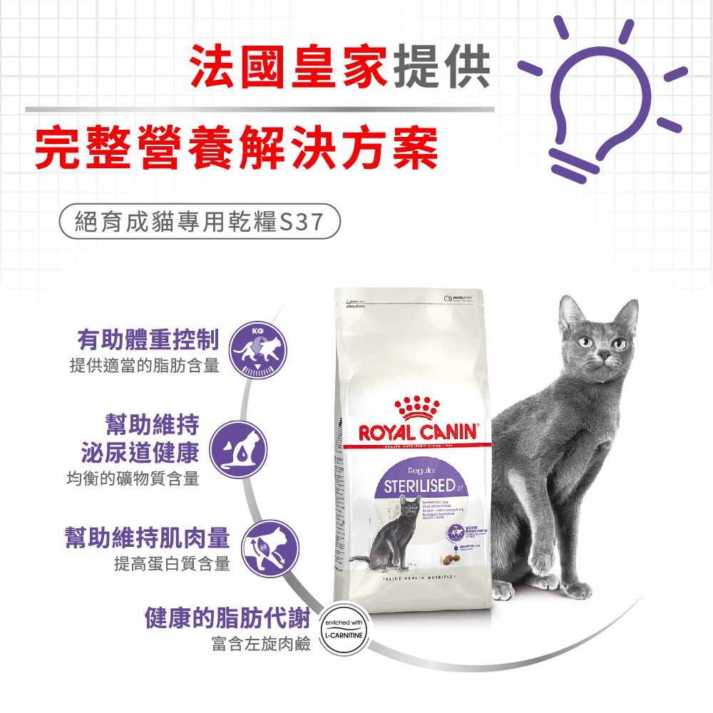 Royal Canin 法國皇家 絕育成貓S37 4KG