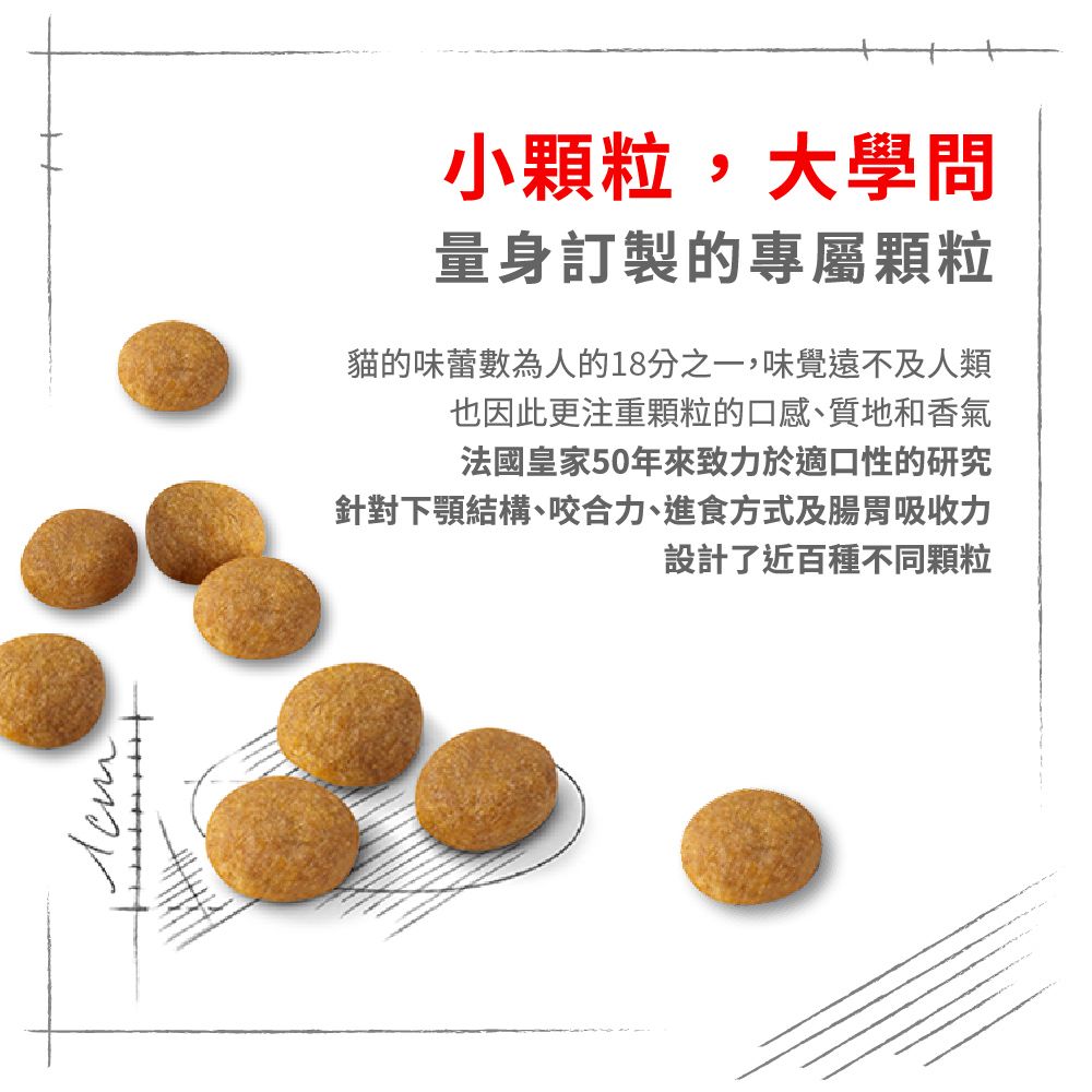Royal Canin 法國皇家 挑嘴貓濃郁香味配方成貓E33 2KG