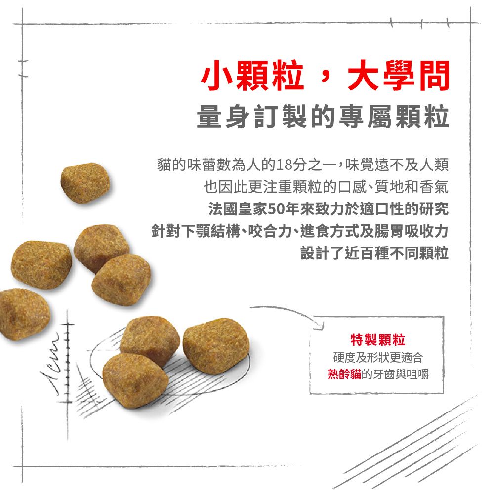 Royal Canin 法國皇家 室內熟齡貓7+歲齡IN+7 3.5KG_(熟齡貓/老貓)