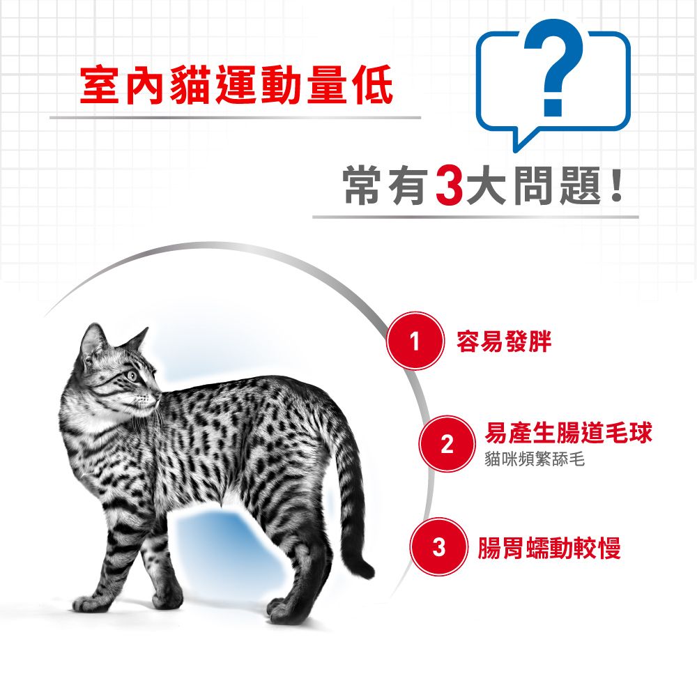 ROYAL 法國皇家 室內成貓IN27 4KG