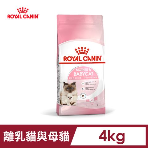 ROYAL 法國皇家 離乳貓與母貓BC34 4KG