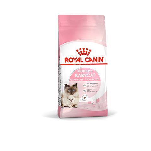 【法國皇家】 離乳貓與母貓BC34 2KG