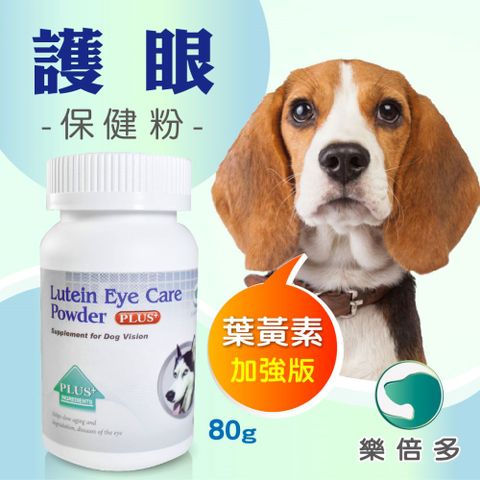 補充葉黃素幫助狗狗保持眼睛健康
