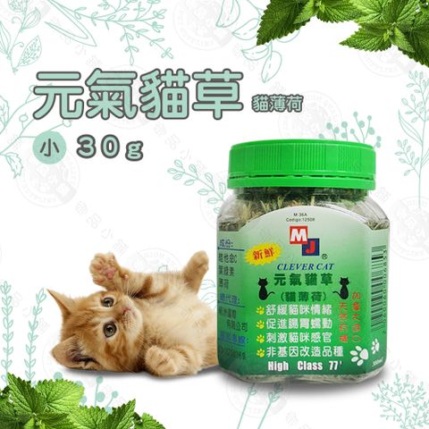 Classic Pets 加好寶 MJ 萌洲 聰明貓 元氣貓草 30G 貓薄荷草 維他命C 葉綠素 助化毛 貓草 貓零食