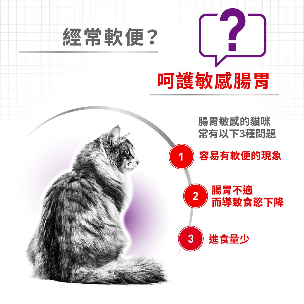 ROYAL 法國皇家 腸胃敏感成貓S33 4KG