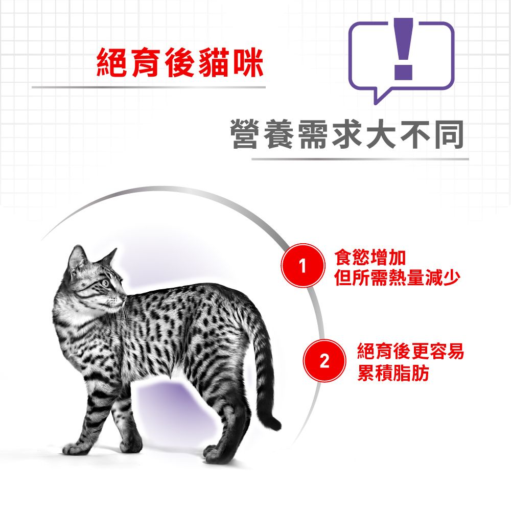 ROYAL 法國皇家 絕育成貓S37 4KG