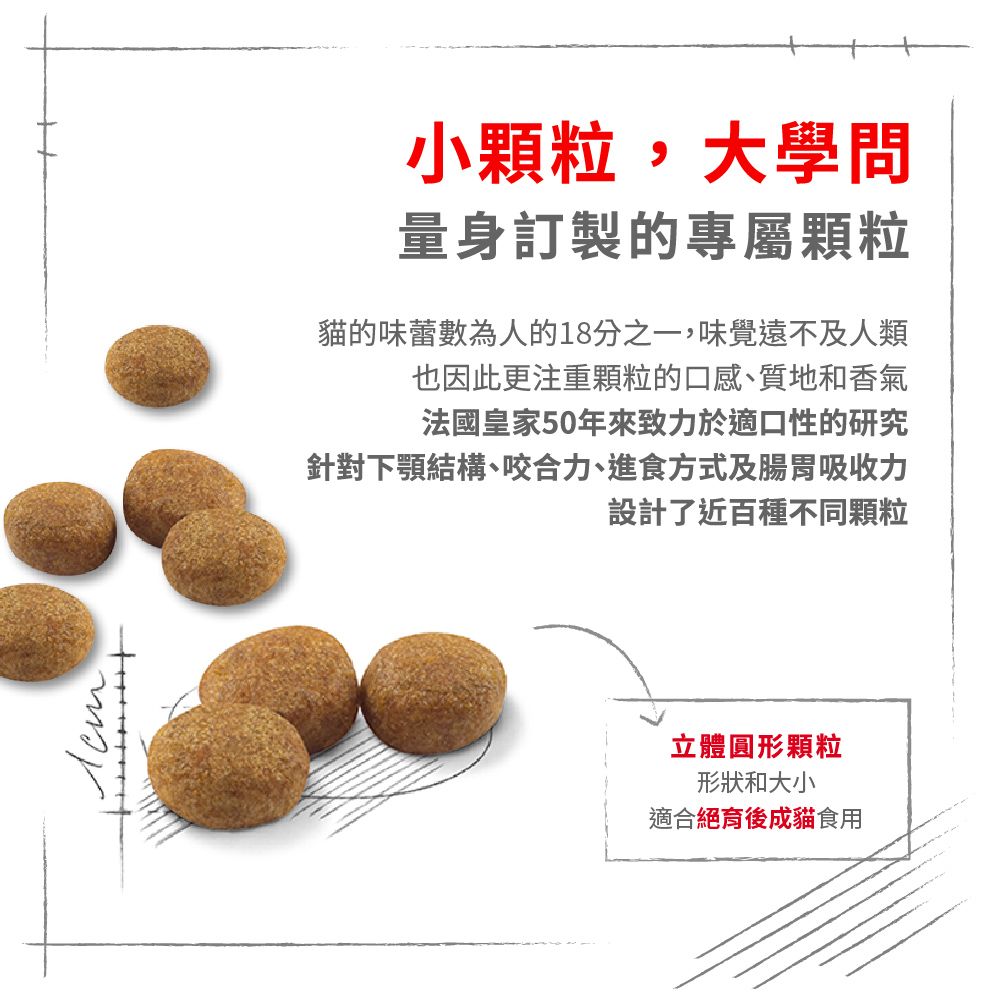 ROYAL 法國皇家 絕育成貓S37 4KG