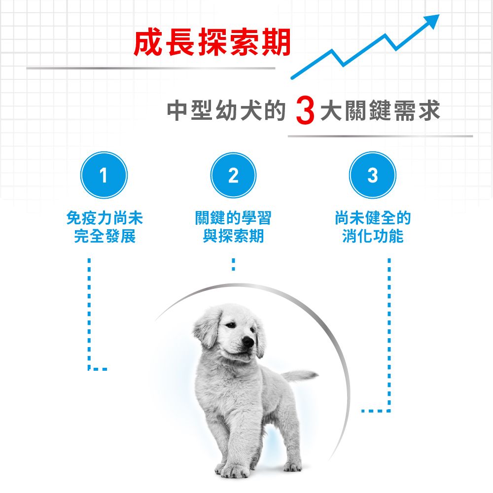 ROYAL 法國皇家 中型幼犬MP 15KG