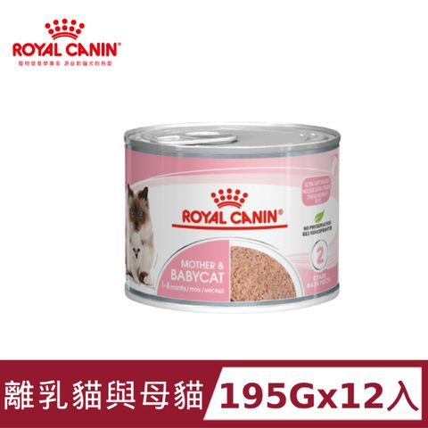 ROYAL 法國皇家 離乳貓與母貓專用濕糧BC34W 195Gx12入