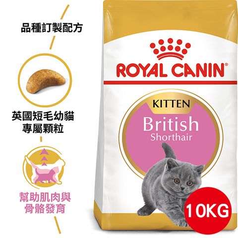 ROYAL 法國皇家 英國短毛幼貓BSK38 10KG