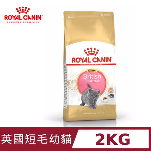 ROYAL 法國皇家 英國短毛幼貓BSK38 2KG