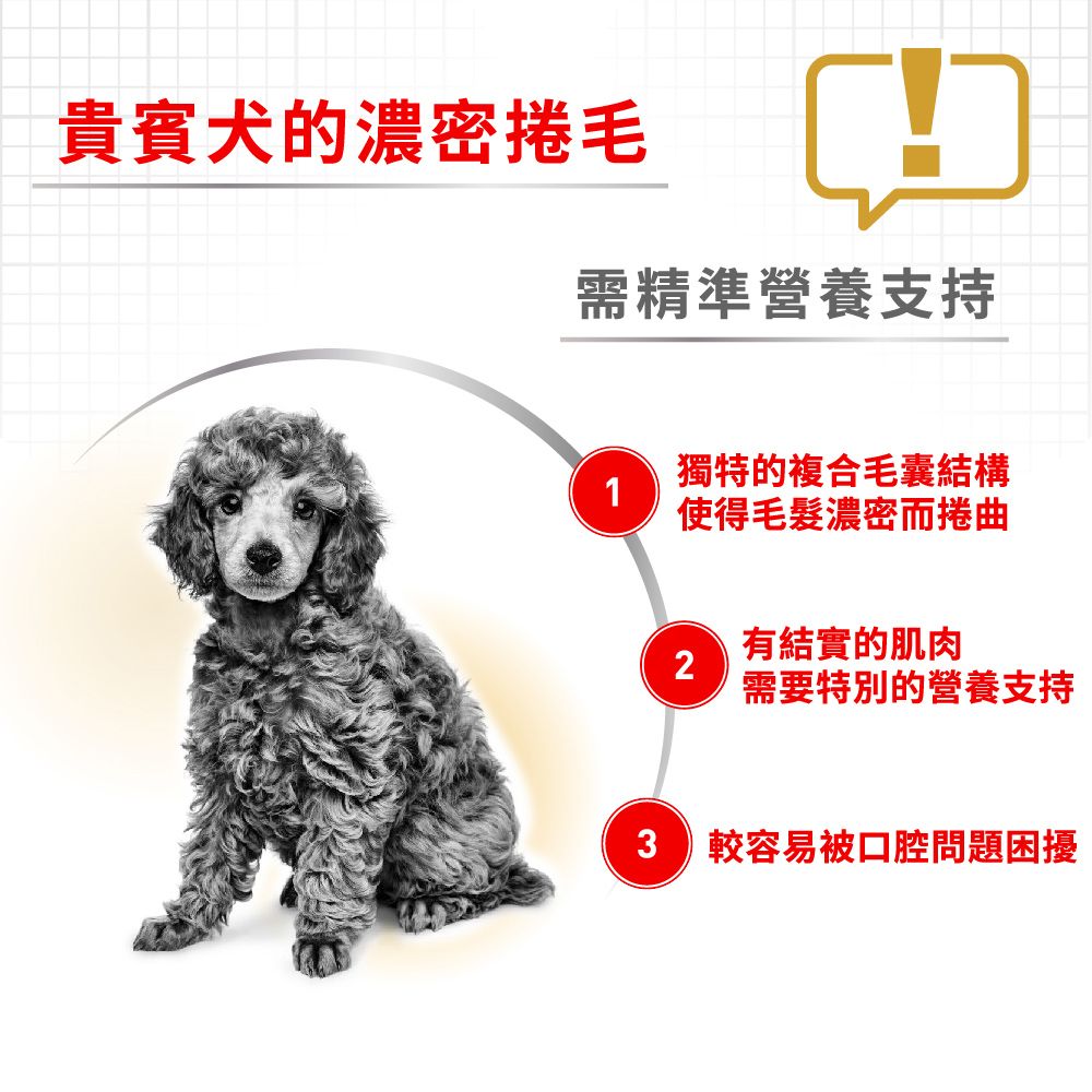 ROYAL 法國皇家 貴賓成犬PDA 3KG