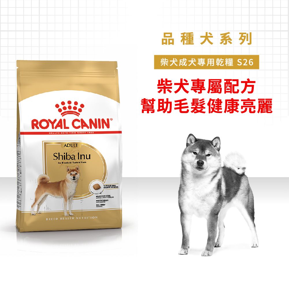 ROYAL 法國皇家 柴犬成犬S26 4KG