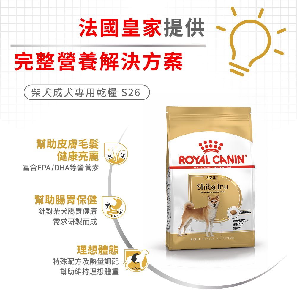 ROYAL 法國皇家 柴犬成犬S26 4KG