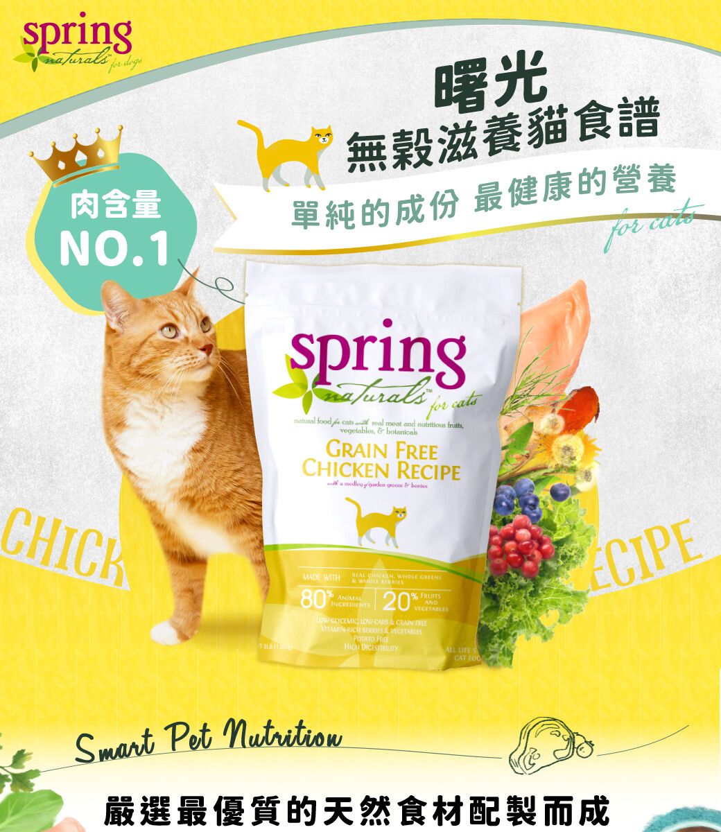 Spring naturals hotsell cat food