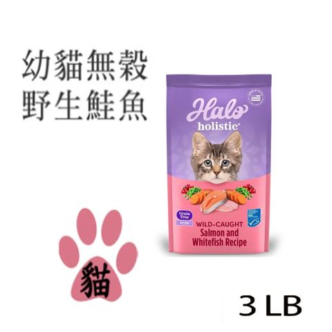 HALO 嘿囉 幼貓 無穀野生鮭魚燉白魚1.4kg(3磅)