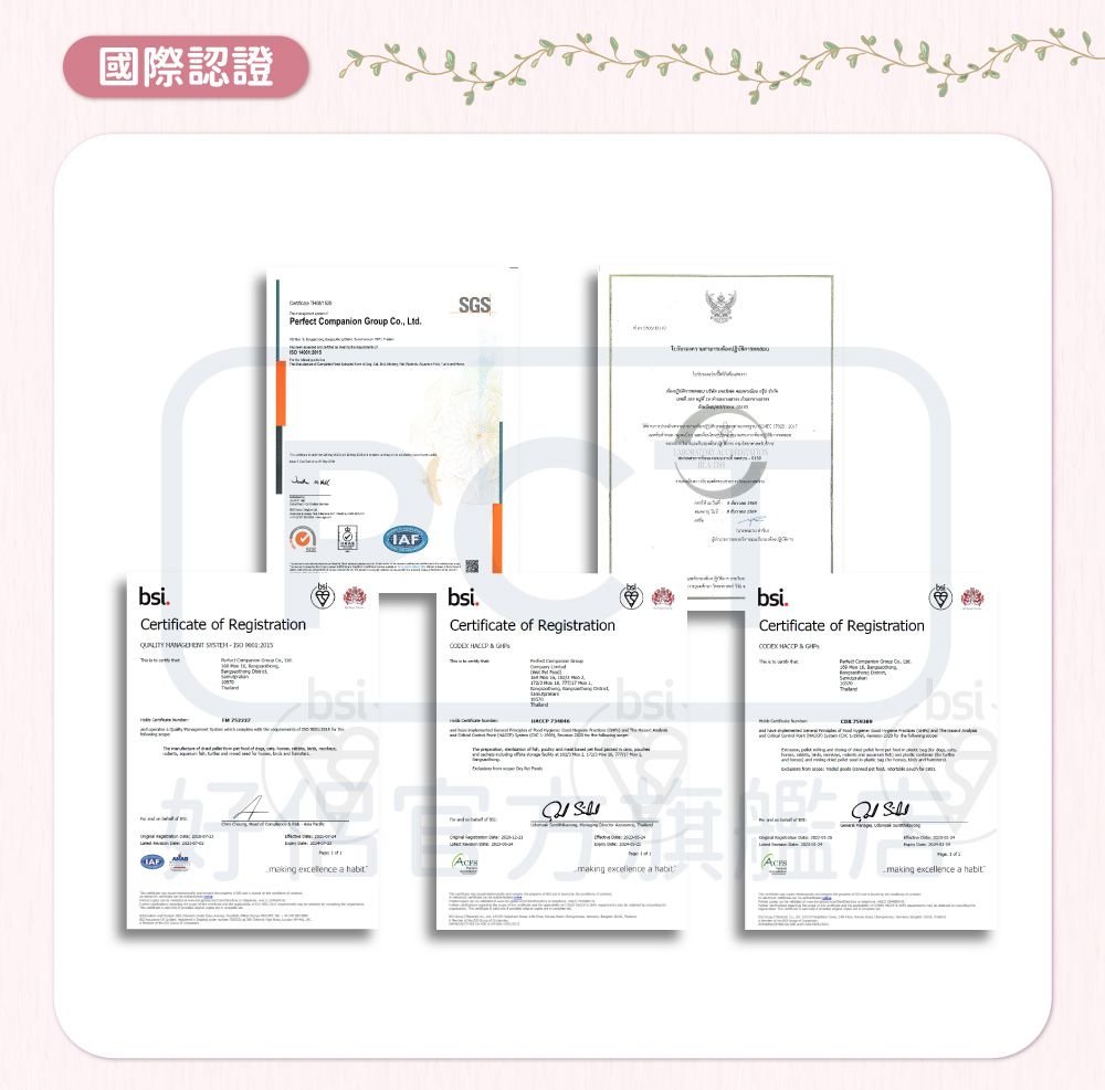 國際認證Perect ompnion Group  bsiertificate of Registration   CbsiGSbsiCertificate of Registration   bsi fIAFmaking excellence a bsiCertificate of Registration   Cmaking excellence a habitSbsimaking excellence a habit