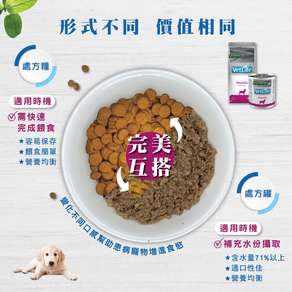 處方糧適用時機需快速完成餵食形式不同價值相同容易保存餵食簡單完美★營養均衡互搭StruviteVetLifeStruvite處方罐變化不同口感幫助患病寵物增進食慾適用時機 補充水份攝取★含水量71%以上★適口性佳·營養均衡