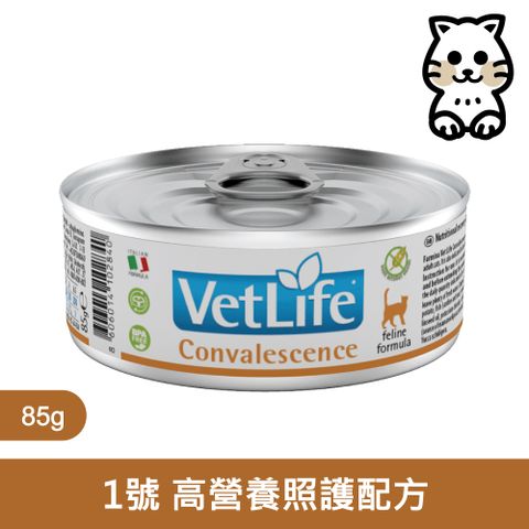 【Farmina 法米納】 獸醫寵愛天然處方罐貓用 高營養照護配方 85g*12罐