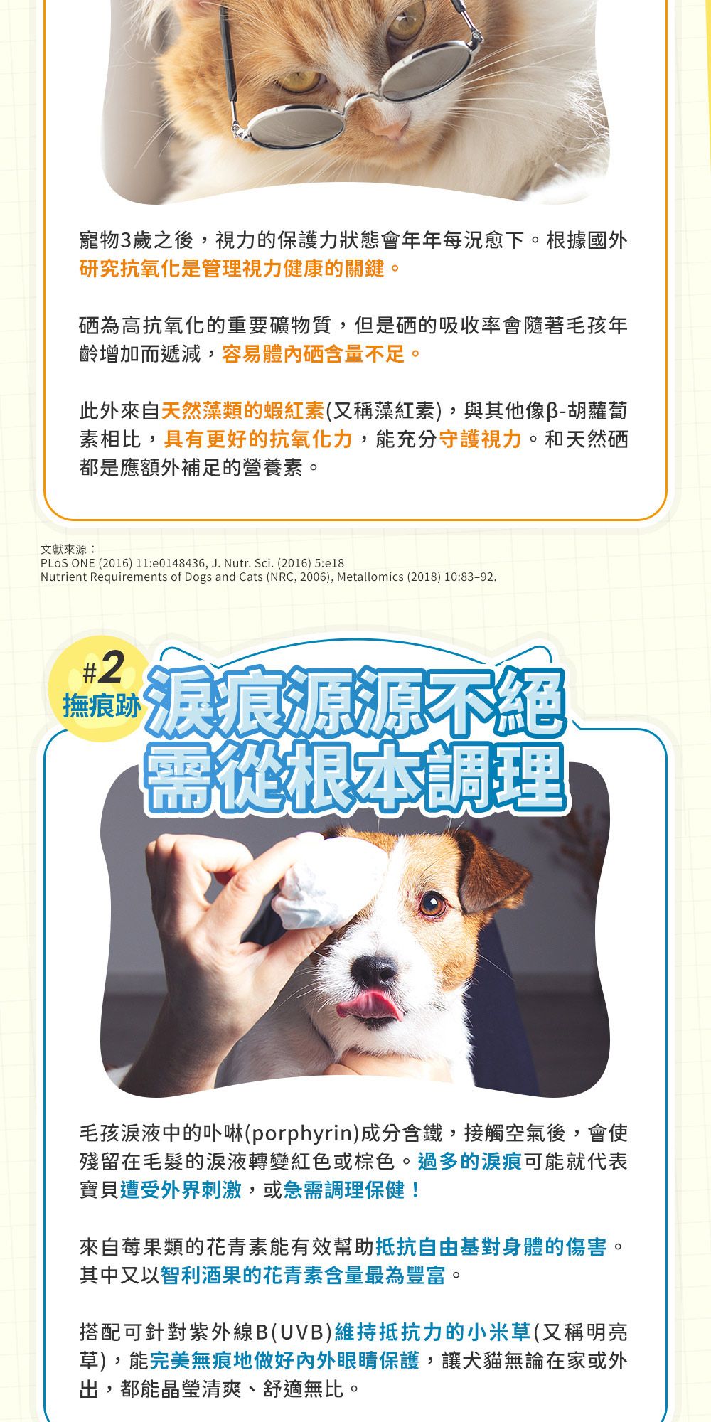 寵物3歲之後,視力的保護力狀態會年年每況愈下。根據國外研究抗氧化是管理視力健康的關鍵。為高抗氧化的重要礦物質,但是硒的吸收率會隨著毛孩年齡增加而遞減,容易硒含量不足。此外來自天然藻類的蝦紅素(又稱藻紅素),與其他像胡蘿蔔素相比,具有更好的抗氧化力,能充分守護視力。和天然硒都是應額外補足的營養素。文獻來源PLoS ONE (2016) :e0148436, J. Nutr. Sci. (2016) 5:e18Nutrient Requirements of Dogs and Cats (NRC, 2006), Metallomics (2018) 10:83-92.#2撫痕跡源源不絕根本調理毛孩中的卟啉(porphyrin)成分含鐵,接觸空氣後,會使殘留在毛髮的淚液轉變紅色或棕色。過多的淚痕可能就代表寶貝遭受外界刺激,或急需調理保健!來自莓果類的花青素能有效幫助抵抗自由基對身體的傷害。其中又以智利酒果的花青素含量最為豐富。搭配可針對紫外線B(UVB)維持抵抗力的小米草(又稱明亮草),能完美無痕地做好内外眼睛保護,讓犬貓無論在家或外出,都能晶瑩清爽、舒適無比。