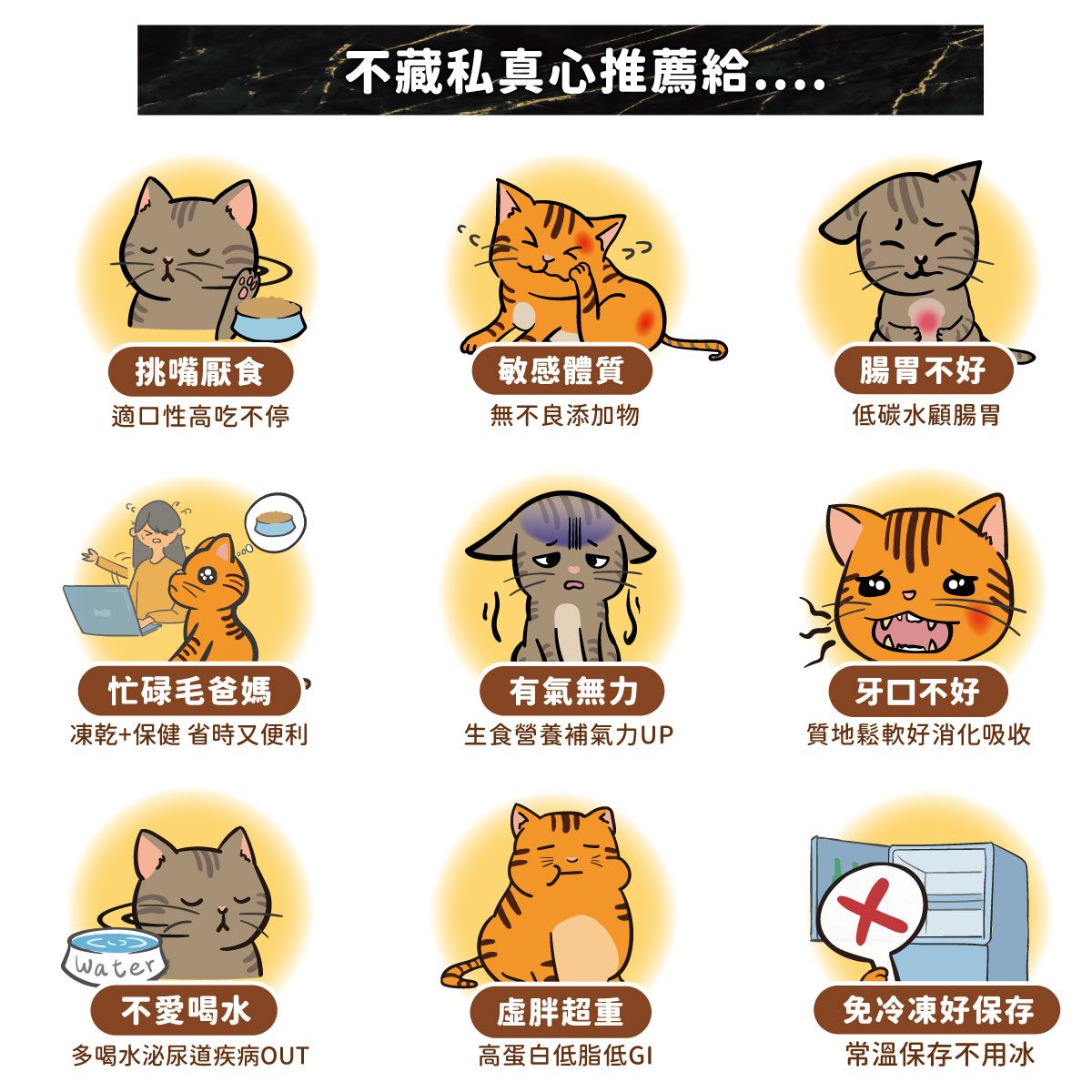 不藏私真心推薦給挑嘴厭食敏感體質適口性高吃不停無不良添加物腸胃不好低碳水顧腸胃忙碌毛爸媽有氣無力牙口不好凍乾+保健 省時又便利生食營養補氣力UP質地鬆軟好消化吸收Water不愛喝水虛胖超重免冷凍好保存多喝水泌尿道疾病OUT高蛋白低脂低GI常溫保存不用冰