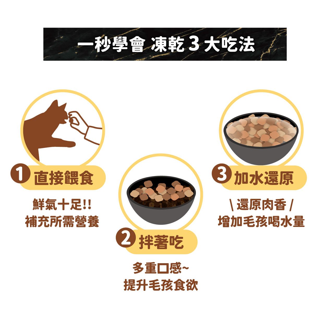 一秒學會 凍乾3大吃法 直接餵食鮮氣十足!!補充所需營養 拌著吃多重口感~提升毛孩食欲加水還原還原肉香增加毛孩喝水量
