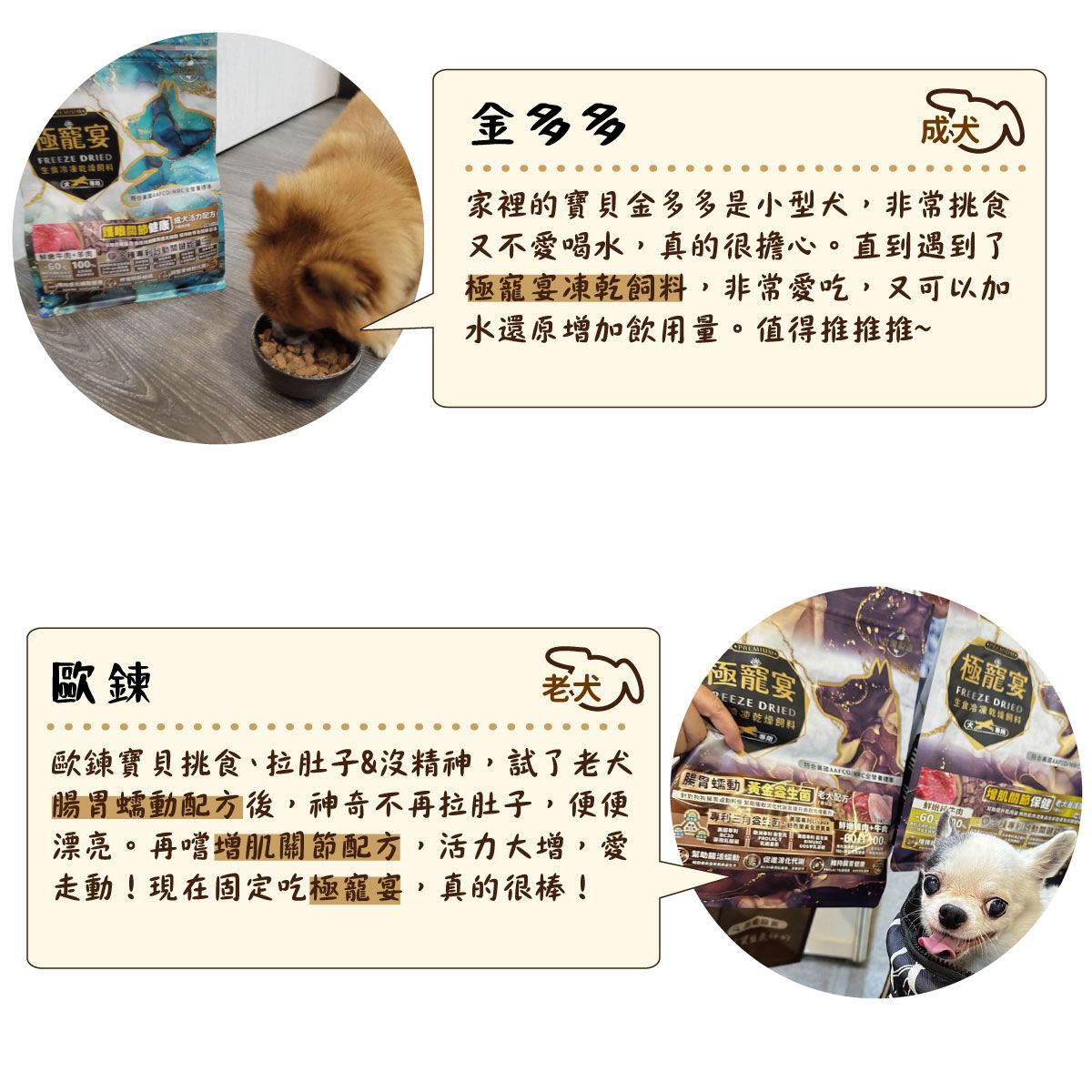 宴F DRIED 10歐金多多家裡的寶貝金多多是小型犬,非常挑食又不愛喝水,真的很擔心直到遇到了極宴乾飼,非常愛吃,又可以加水還原增加飲用量。值得推推推~老犬極寵宴REEZE DRIED0凍極寵宴FREEZE DRIED食冷凍料增肌保健 。+歐鍊寶貝挑食、拉肚子&沒精神,試了老犬配方後,神奇不再拉肚子,便便漂亮。再嚐增肌關節配方,活力大增,愛走動!現在固定吃極寵宴,真的很棒!腸胃蠕動生 專利