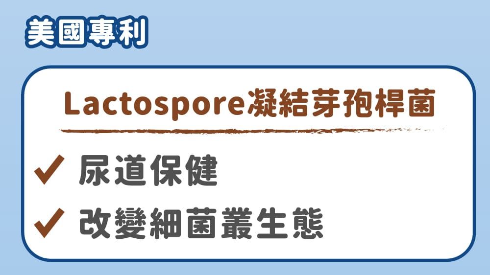 美國專利Lactospore凝結芽孢桿菌 尿道保健√ 改變細菌叢生態