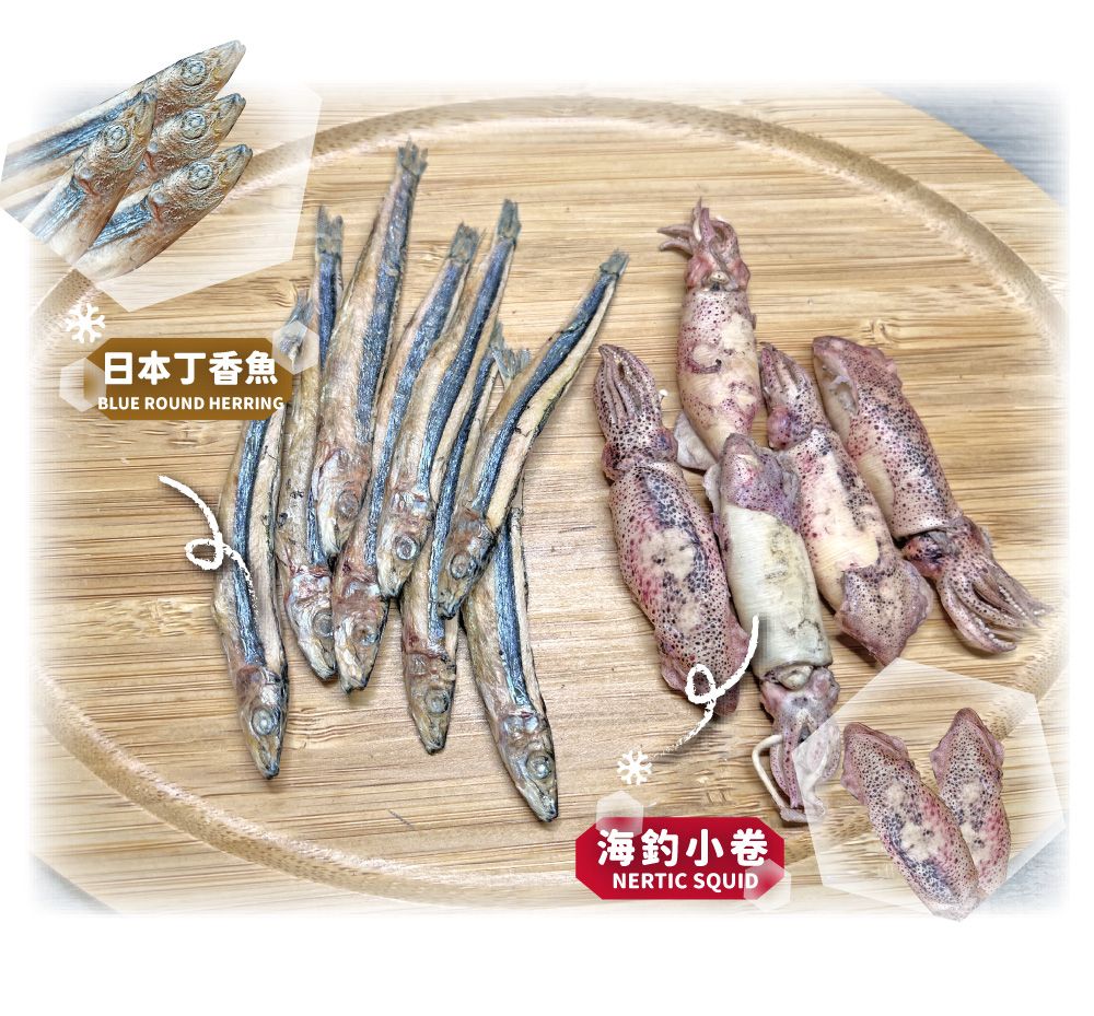 日本丁香魚BLUE ROUND HERRING海釣小卷NERTIC SQUID