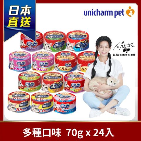 銀湯匙 貓罐頭70g*24罐 多種口味任選(高齡/鮪魚/雞肉/幼貓)