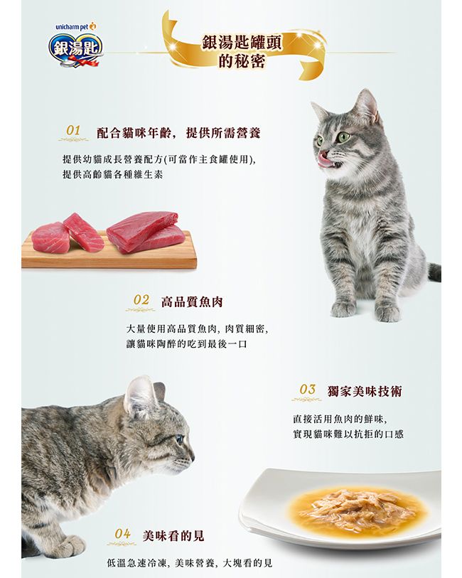 銀湯匙 貓罐頭70g*24罐 多種口味任選(高齡/鮪魚/雞肉/幼貓)