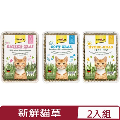 GimCat 德國竣寶 【2入組】GIMBORN-貓咪新鮮貓草系列(盒裝) -100g~150g