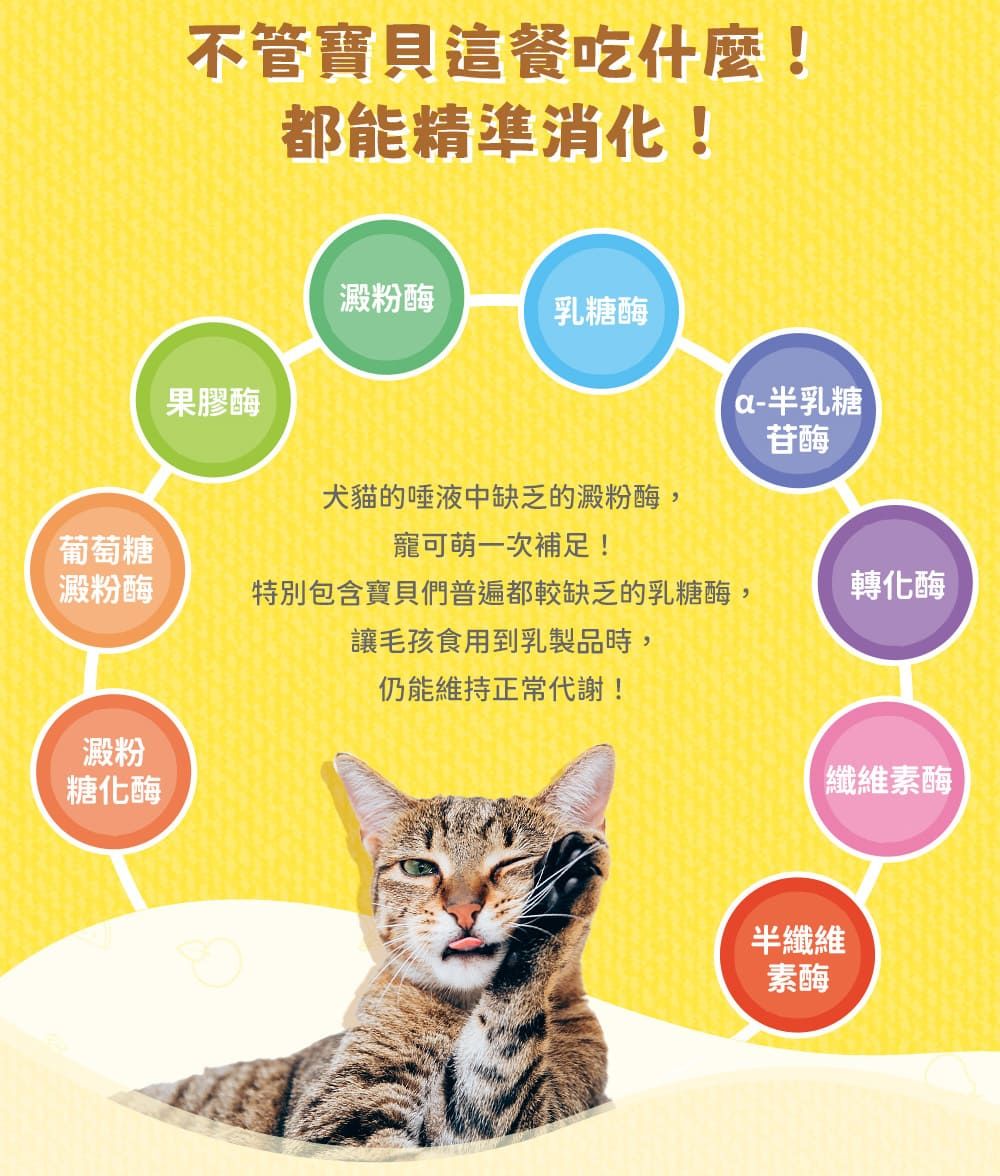 不管寶貝這餐吃什麼!都能精準消化!澱粉酶乳糖酶果膠酶半乳糖苷酶犬貓的唾液中缺乏的澱粉酶,葡萄糖寵可萌一次補足!澱粉酶特別包含寶貝們普遍都較缺乏的乳糖酶,讓毛孩食用到乳製品時,轉化酶澱粉糖化酶仍能維持正常代謝!纖維素酶半纖維素酶