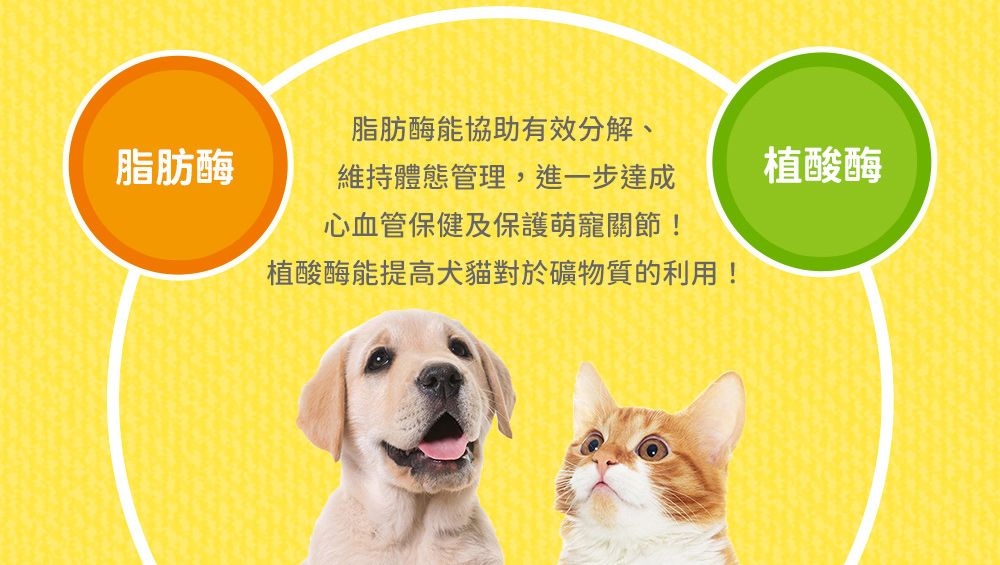 脂肪酶能協助有效分解、脂肪酶維持體態管理,進一步達成植酸酶心血管保健及保護萌寵關節!植酸酶能提高犬貓對於礦物質的利用!