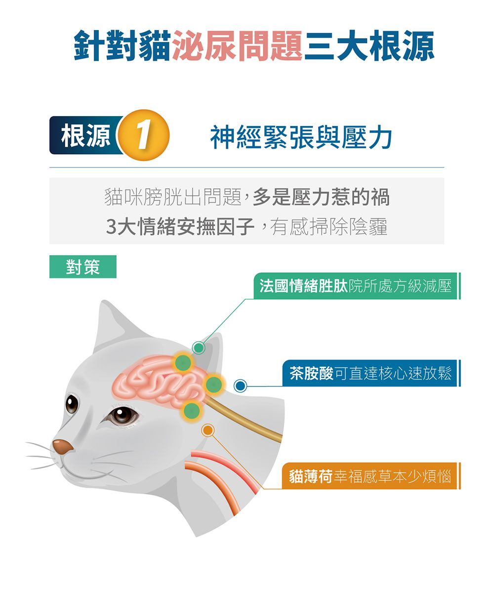 針對貓泌尿問題三大根源根源(1 神經緊張與壓力對策貓咪膀胱出問題,多是壓力惹的禍3大情緒安撫因子,有感掃除陰霾法國情緒胜肽院所處方級減壓茶胺酸可直達核心速放鬆貓薄荷幸福感草本少煩惱