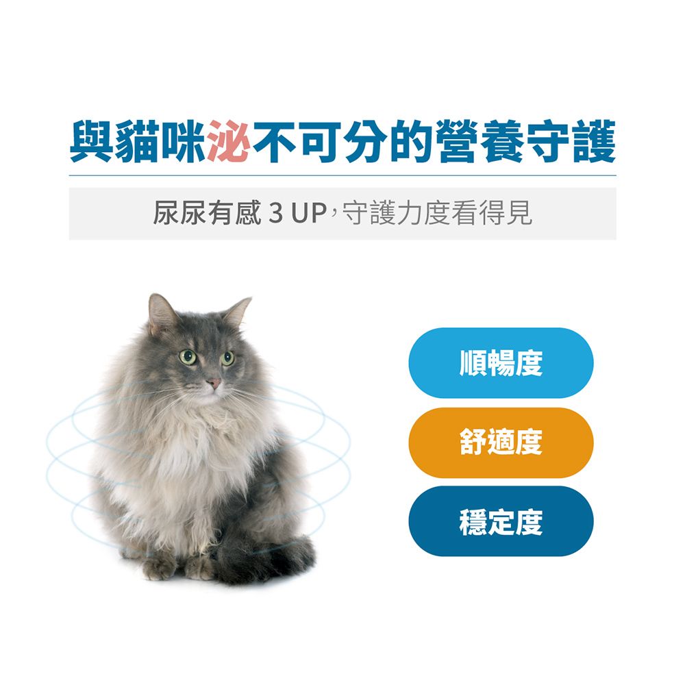 與貓咪泌不可分的營養守護尿尿有感 3UP,守護力度看得見順暢度舒適度穩定度